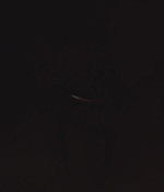 00702.jpg