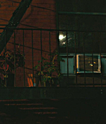 00486.jpg