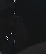 01184.jpg