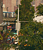 01319.jpg