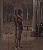 00983.jpg