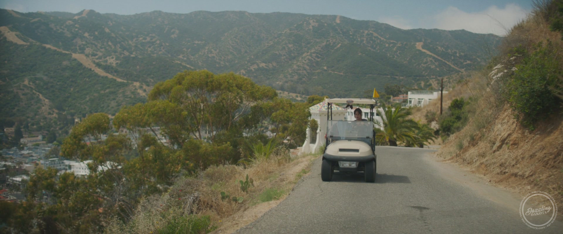 01442.jpg