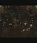 0313.jpg